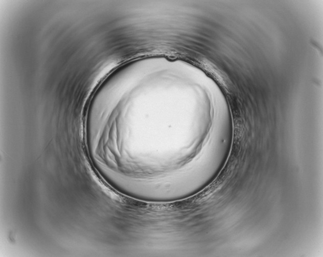 X0000094931095200712201047