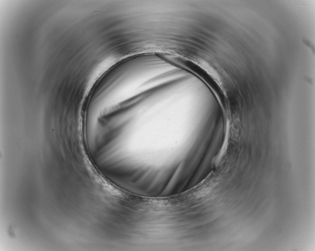X0000094931096200712201047