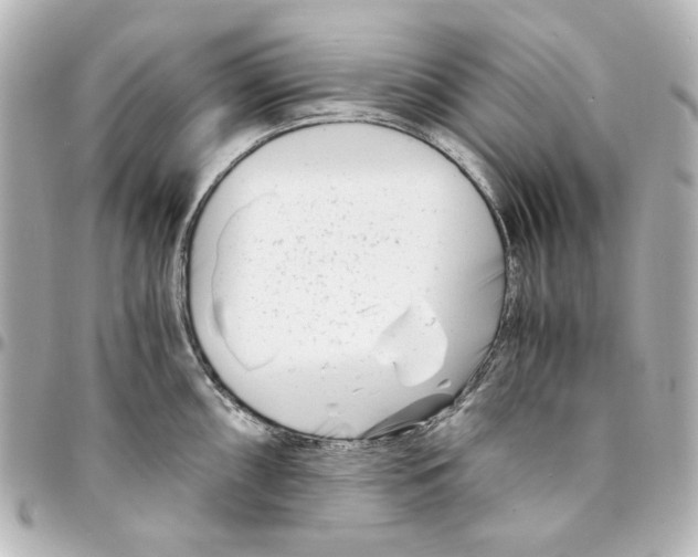 X0000094931098200712201047
