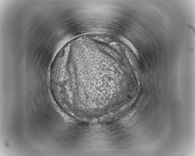 X0000094931099200712201047