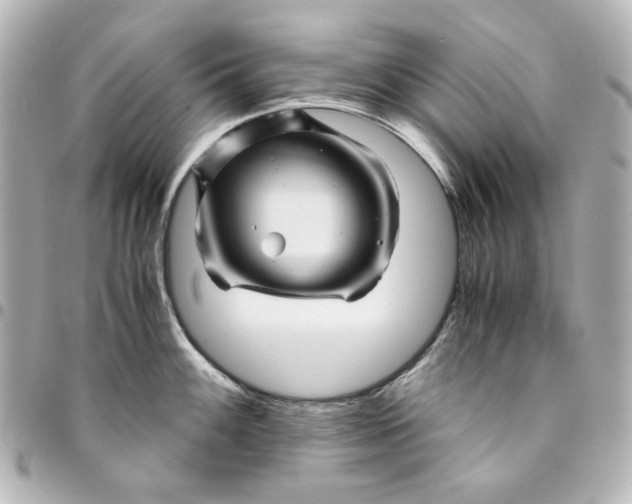X0000094931100200712201047