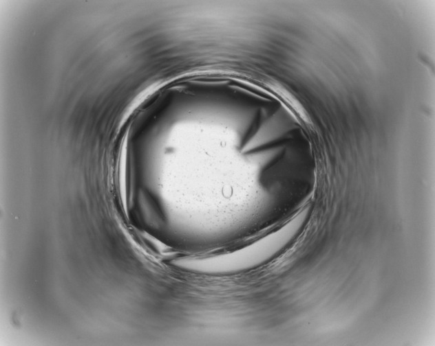 X0000094931101200712201047