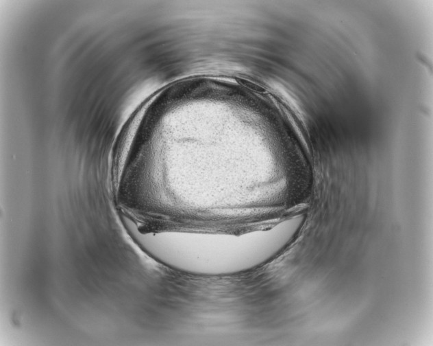 X0000094931103200712201047