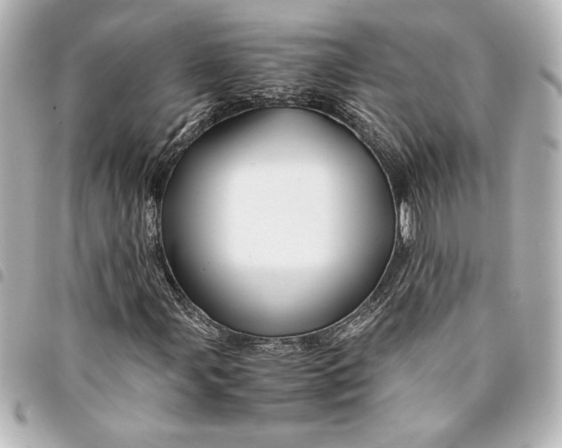 X0000094931107200712201046