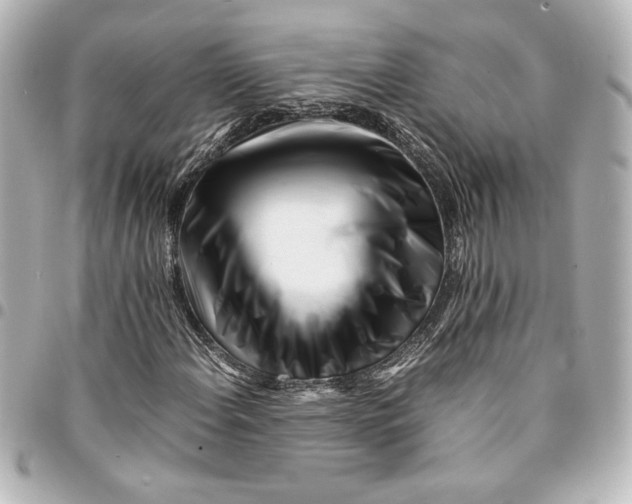 X0000094931108200712201046