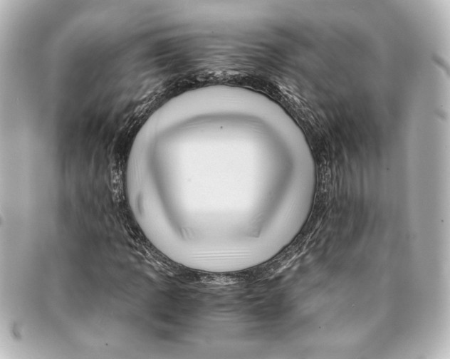 X0000094931109200712201046
