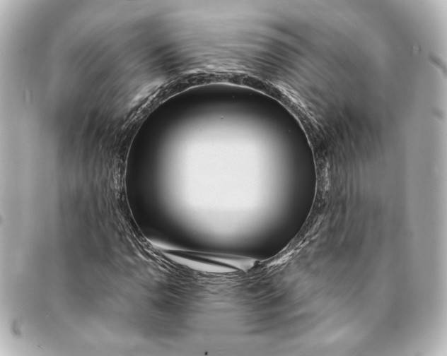 X0000094931110200712201046