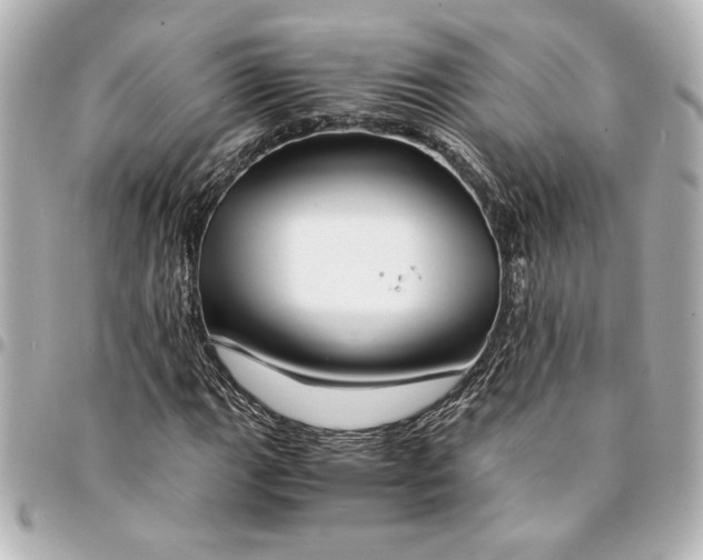 X0000094931111200712201046
