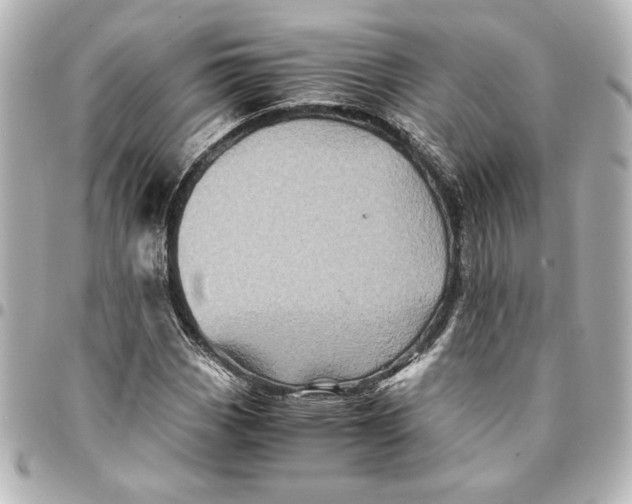X0000094931113200712201046