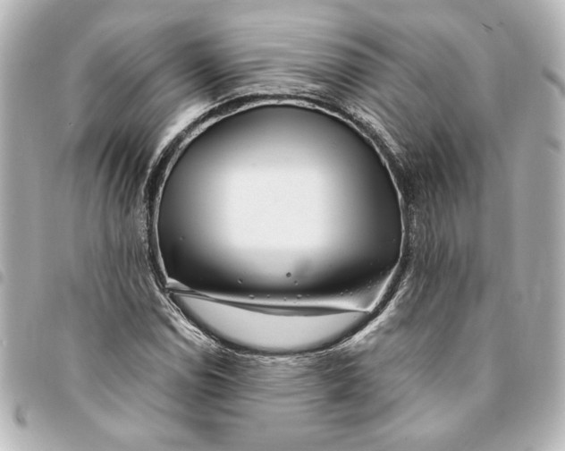 X0000094931114200712201046