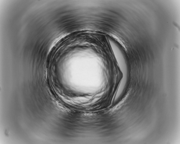 X0000094931117200712201046