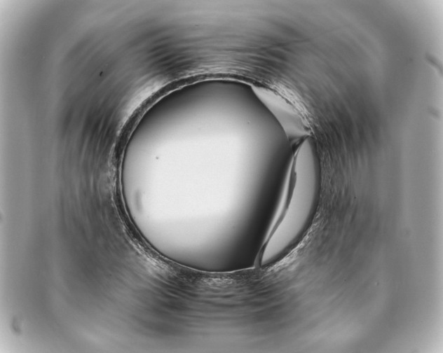 X0000094931119200712201046