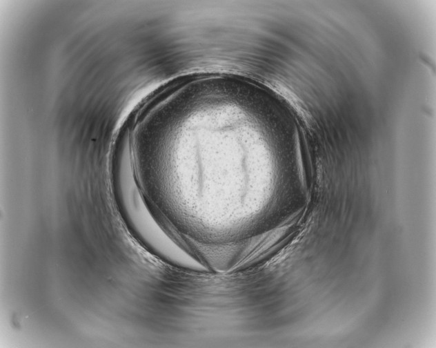 X0000094931120200712201046