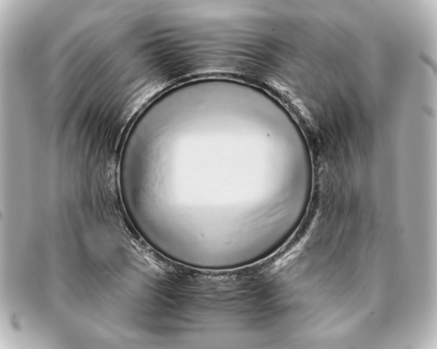 X0000094931121200712201046