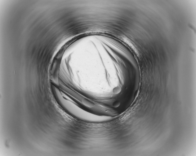 X0000094931124200712201046