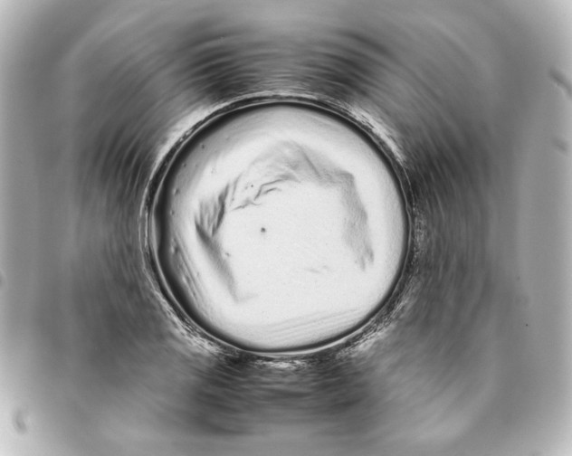 X0000094931125200712201046