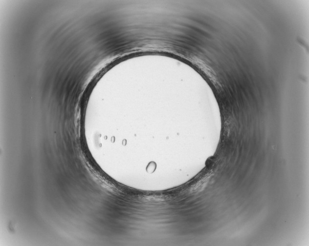X0000094931126200712201046