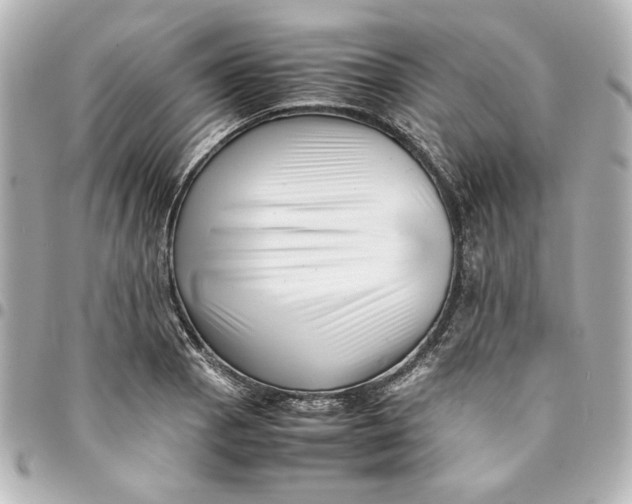 X0000094931129200712201046