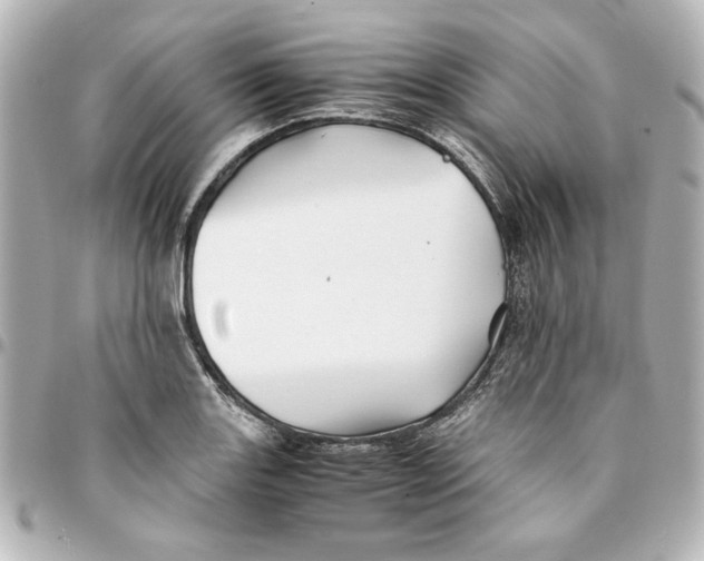 X0000094931131200712201046