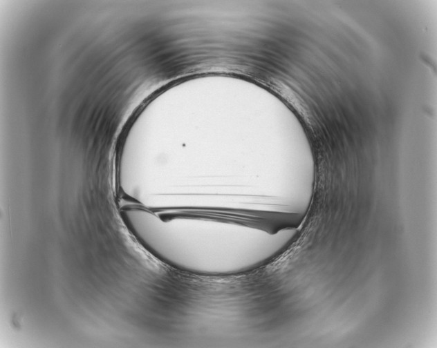 X0000094931132200712201046