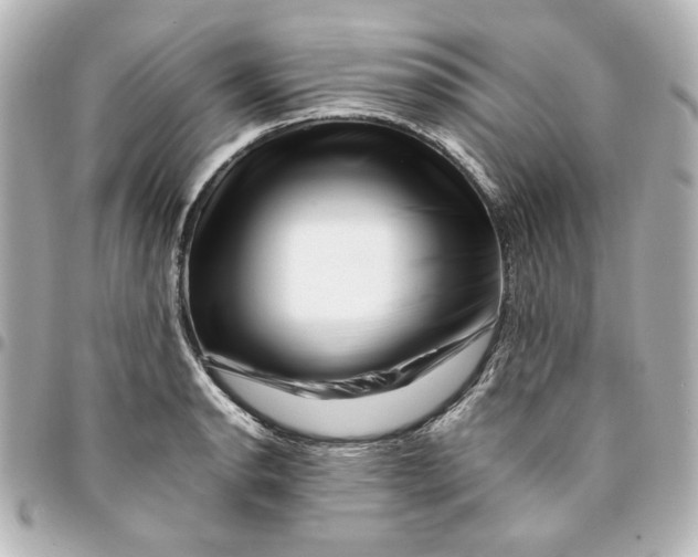 X0000094931134200712201046