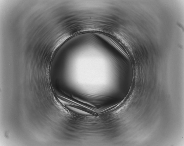 X0000094931137200712201046
