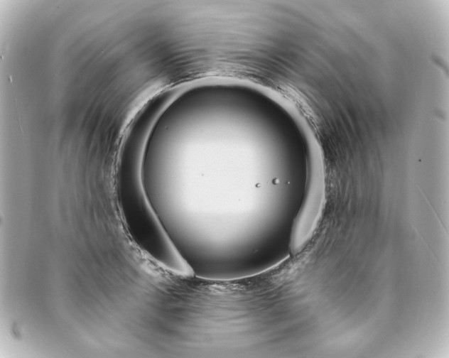 X0000094931138200712201046