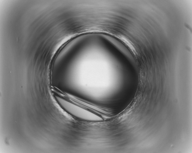 X0000094931142200712201046
