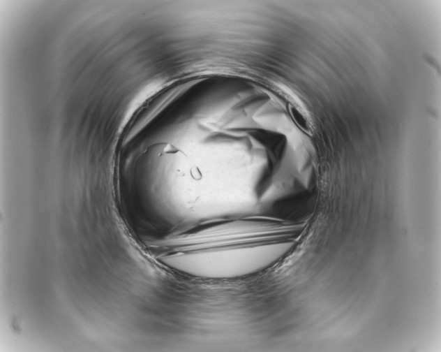 X0000094931146200712201047