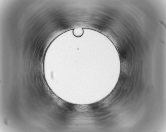 X0000094931150200712201047