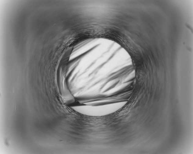 X0000094931153200712201046