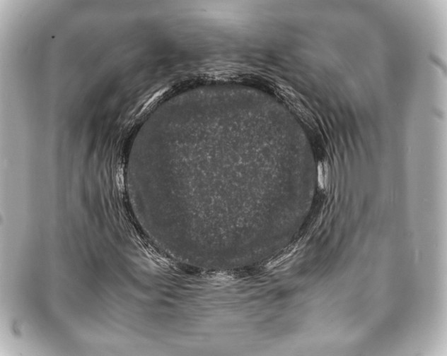 X0000094931155200712201046