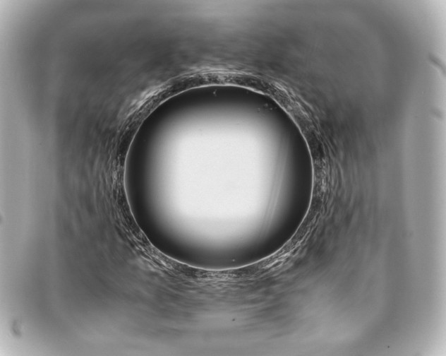 X0000094931157200712201046