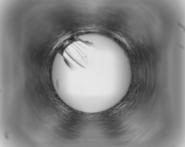 X0000094931160200712201046