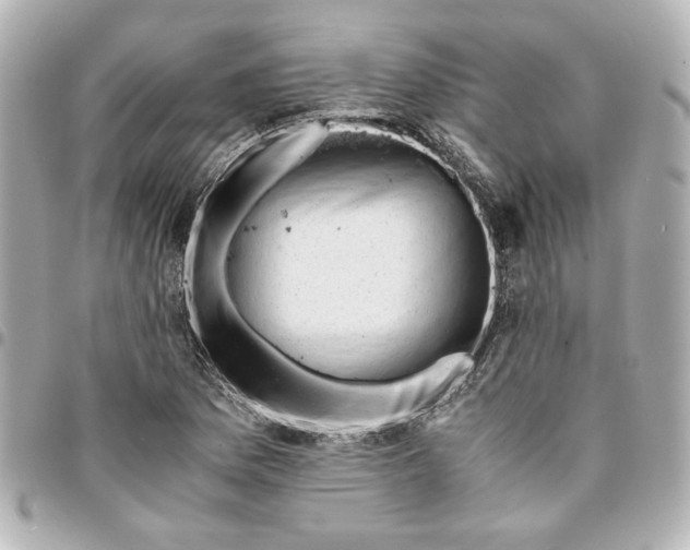 X0000094931169200712201046