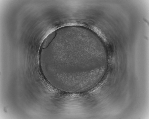 X0000094931173200712201046