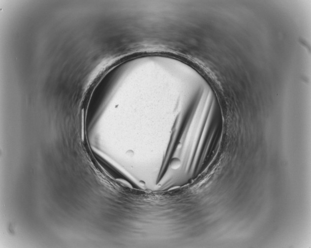 X0000094931175200712201046