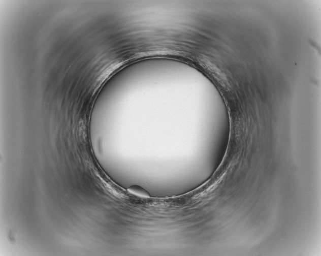 X0000094931177200712201046
