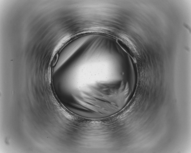 X0000094931180200712201046