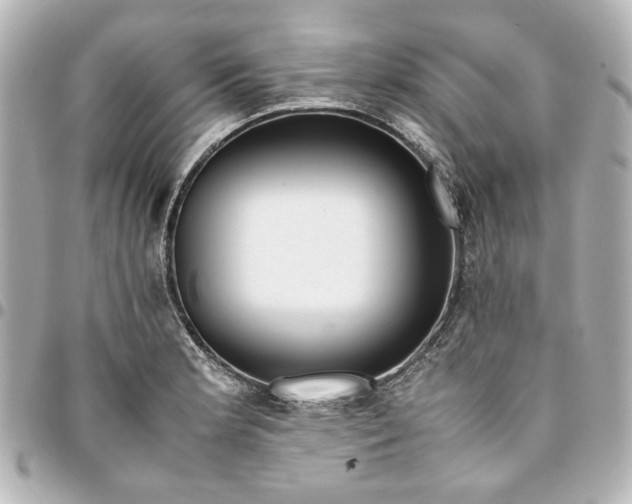 X0000094931181200712201046
