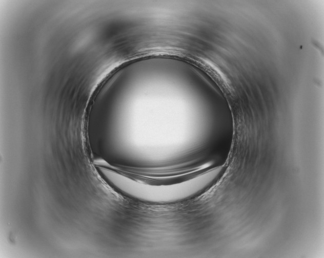 X0000094931182200712201046