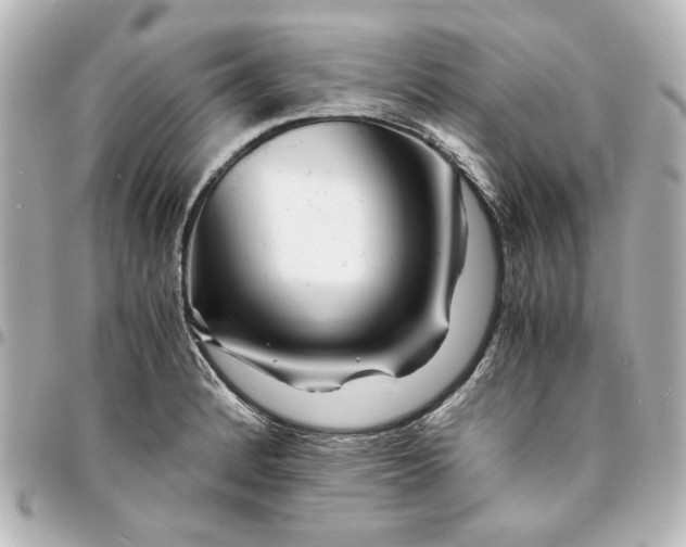 X0000094931184200712201046