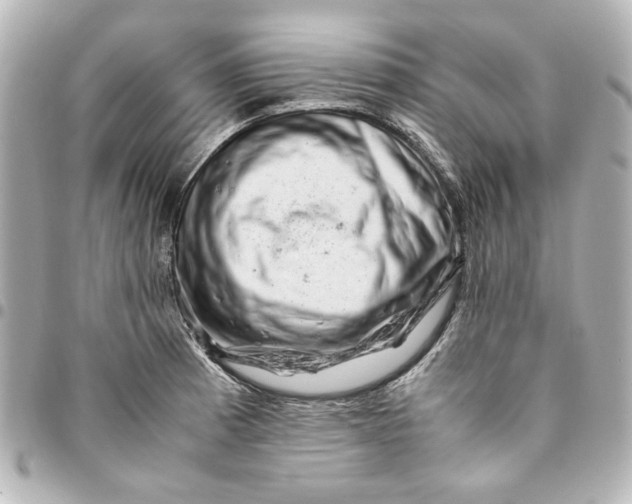 X0000094931185200712201045