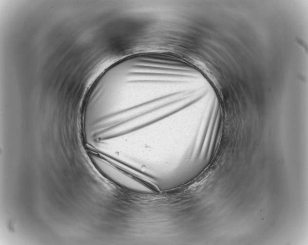 X0000094931187200712201045