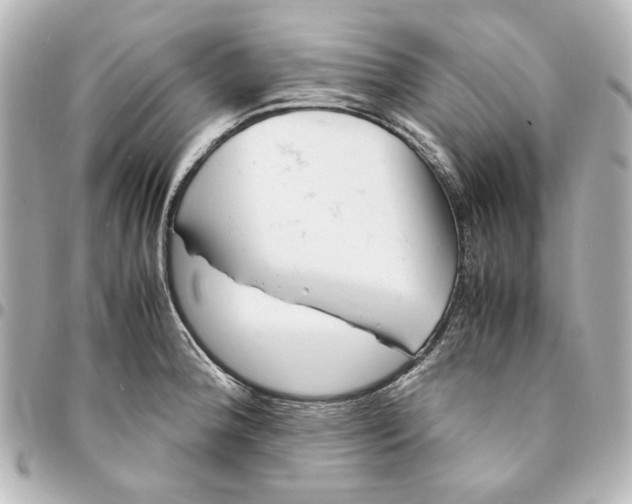 X0000094931188200712201045