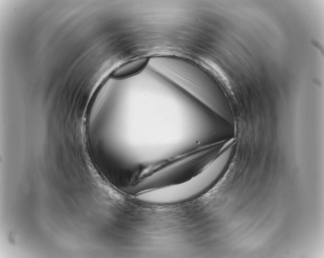 X0000094931190200712201045