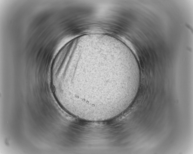 X0000094931195200712201045