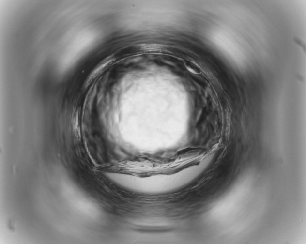 X0000094931198200712201045