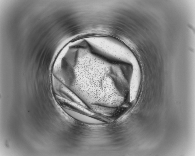X0000094931200200712201045