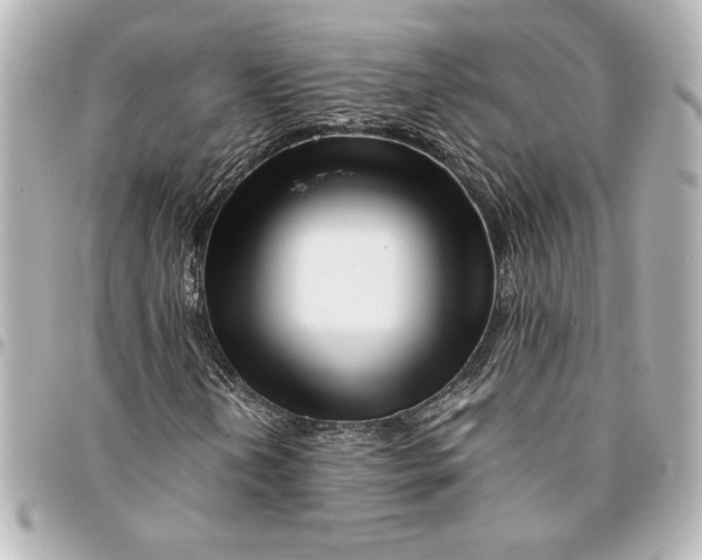 X0000094931202200712201045